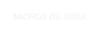 microsdegira.com